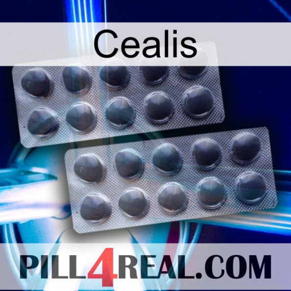 Cealis 31